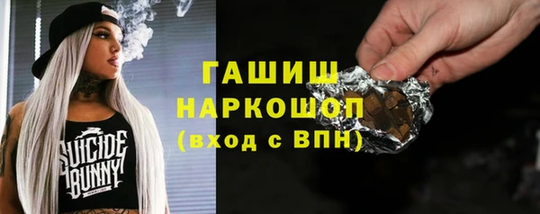 индика Алзамай