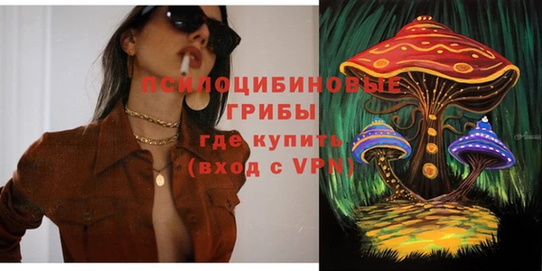 spice Алексеевка