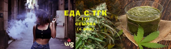 индика Алзамай